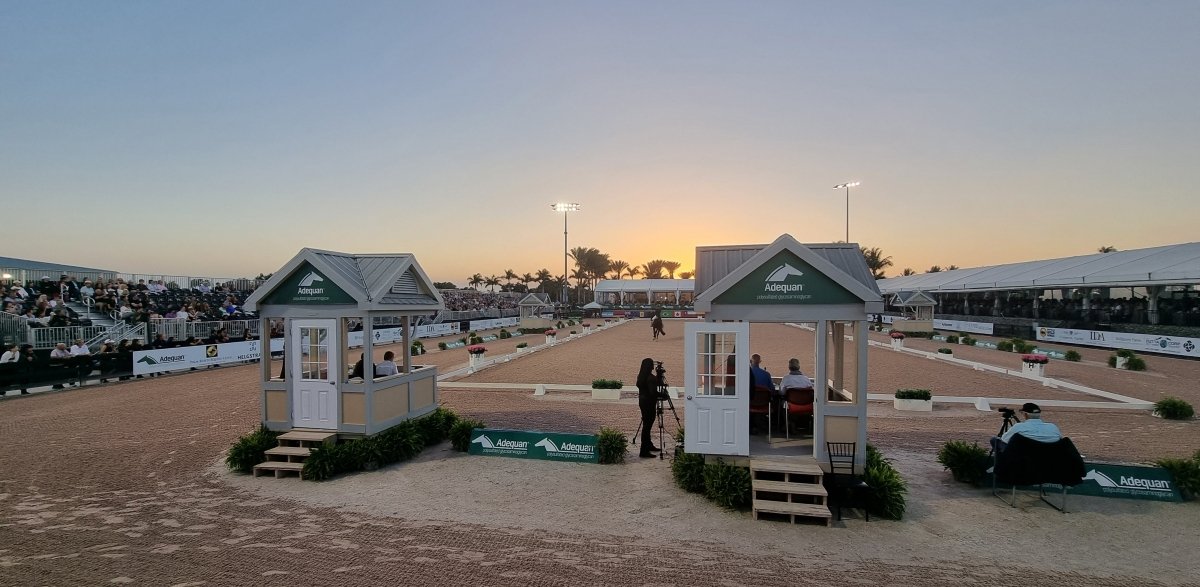 Top 5 Horse Show Spectator Styles - Uniqcorn Exceptionnel