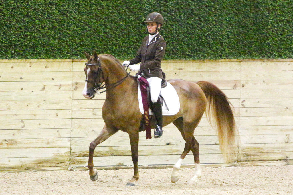 Astrid von Krenski competing in dressage at the Arabian Horse Association National Show, earning a Top Ten finish while wearing Uniqcorn Exceptionnel apparel.