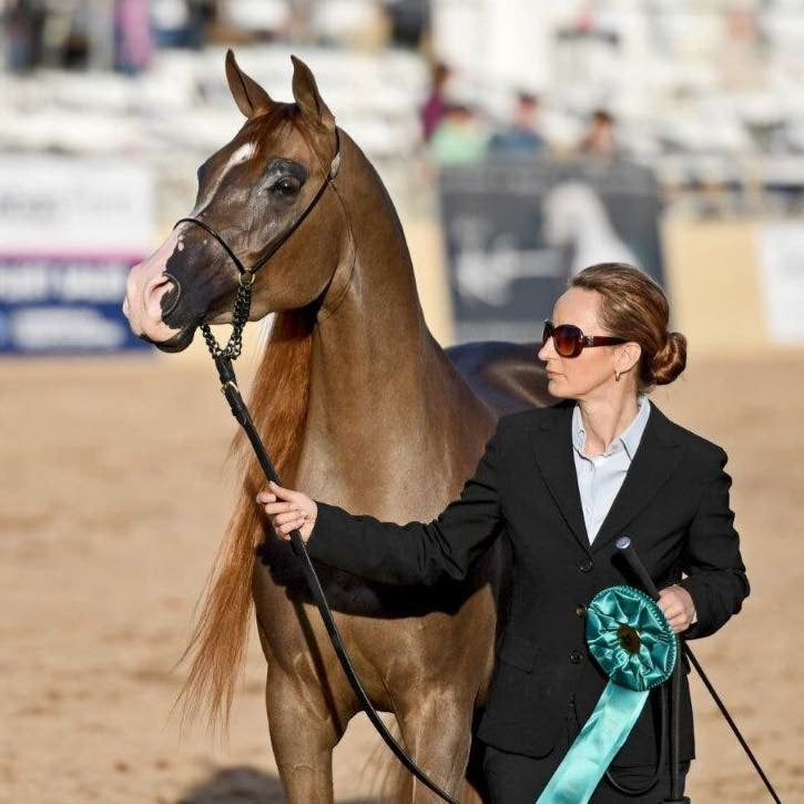 Astrid von Krenski in equestrian attire standing beside her horse after earning a Top Ten ribbon at the Scottsdale Arabian Horse Show.