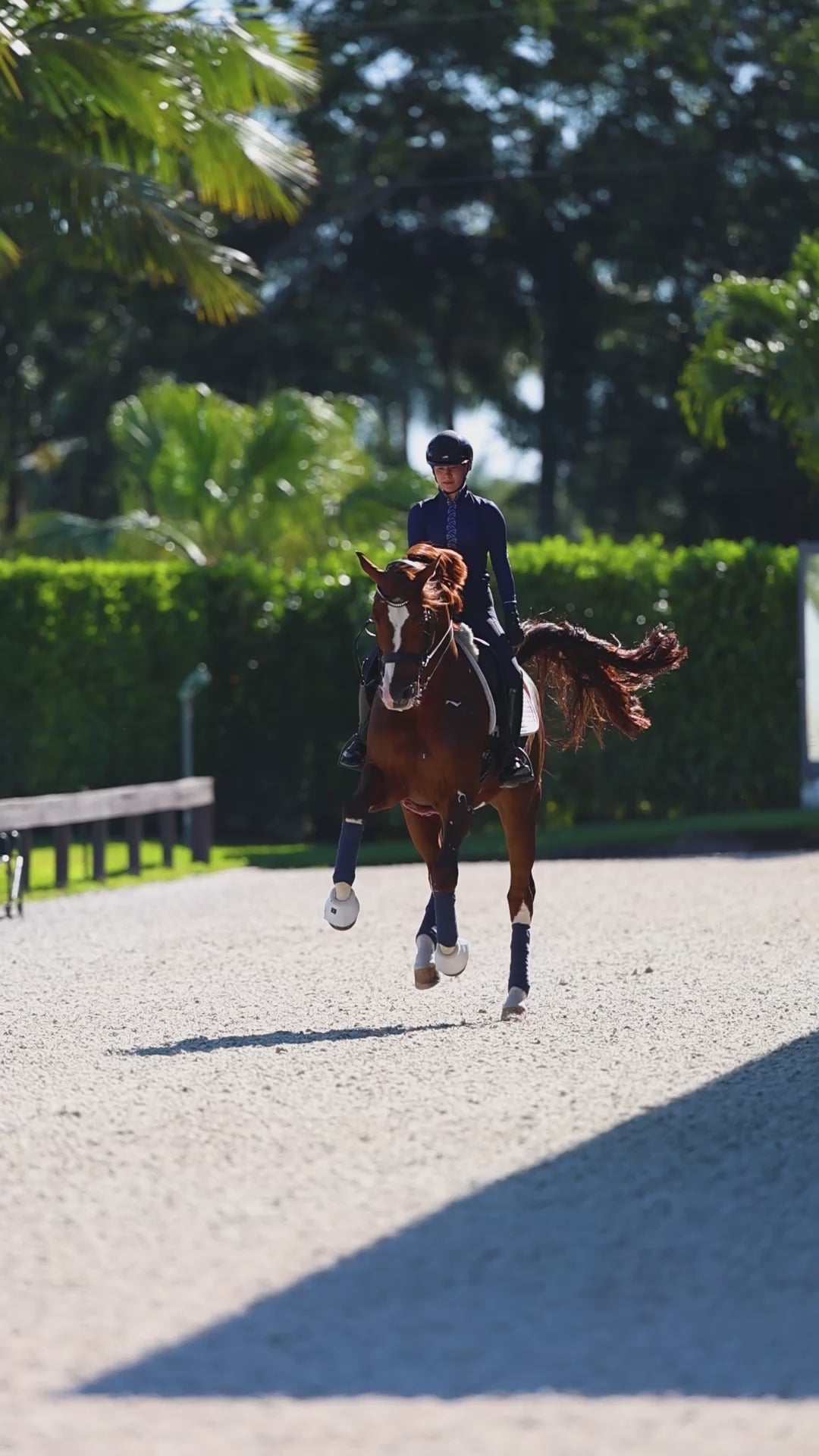 Hope Cooper wearing the Uniqcorn Exceptionnel J'Adore Equestrian Sun Shirt and Midnight Blue Full Seat Dressage Breeches.