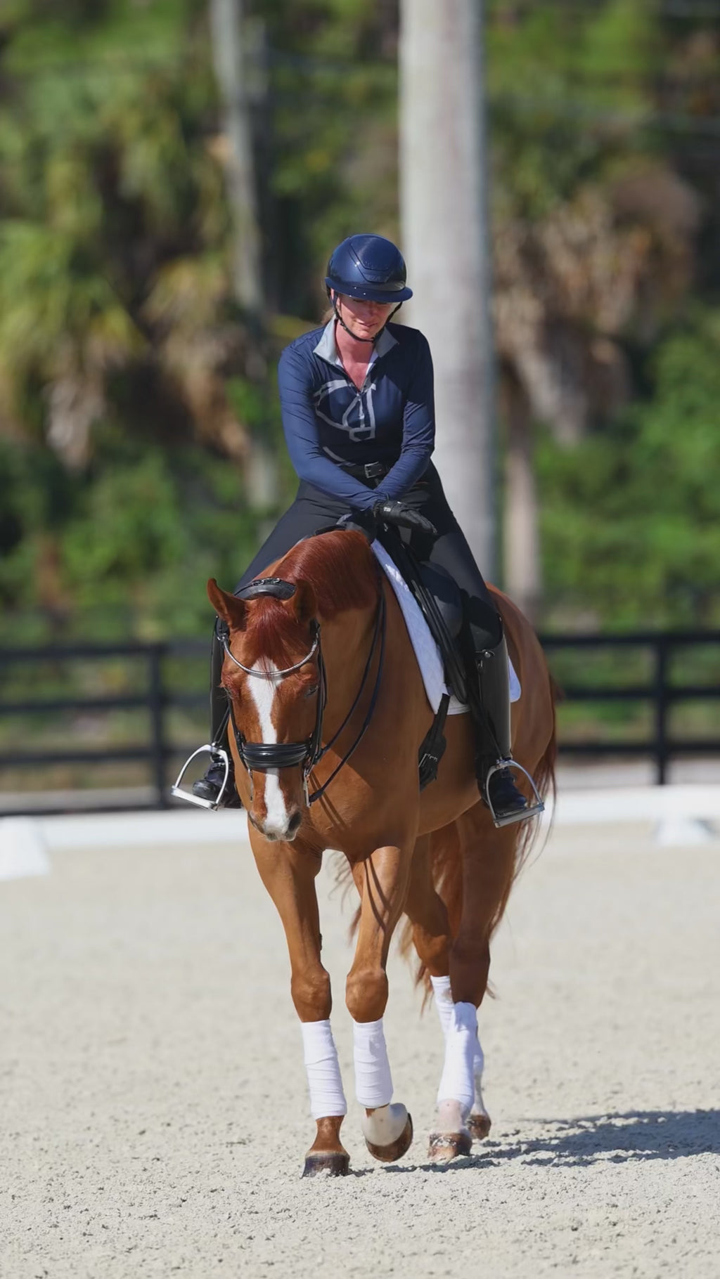 Tina Irwin wearing the Uniqcorn Exceptionnel Painted Horse Blue Equestrian Sun Shirt and Noir Full Seat Dressage Breeches.