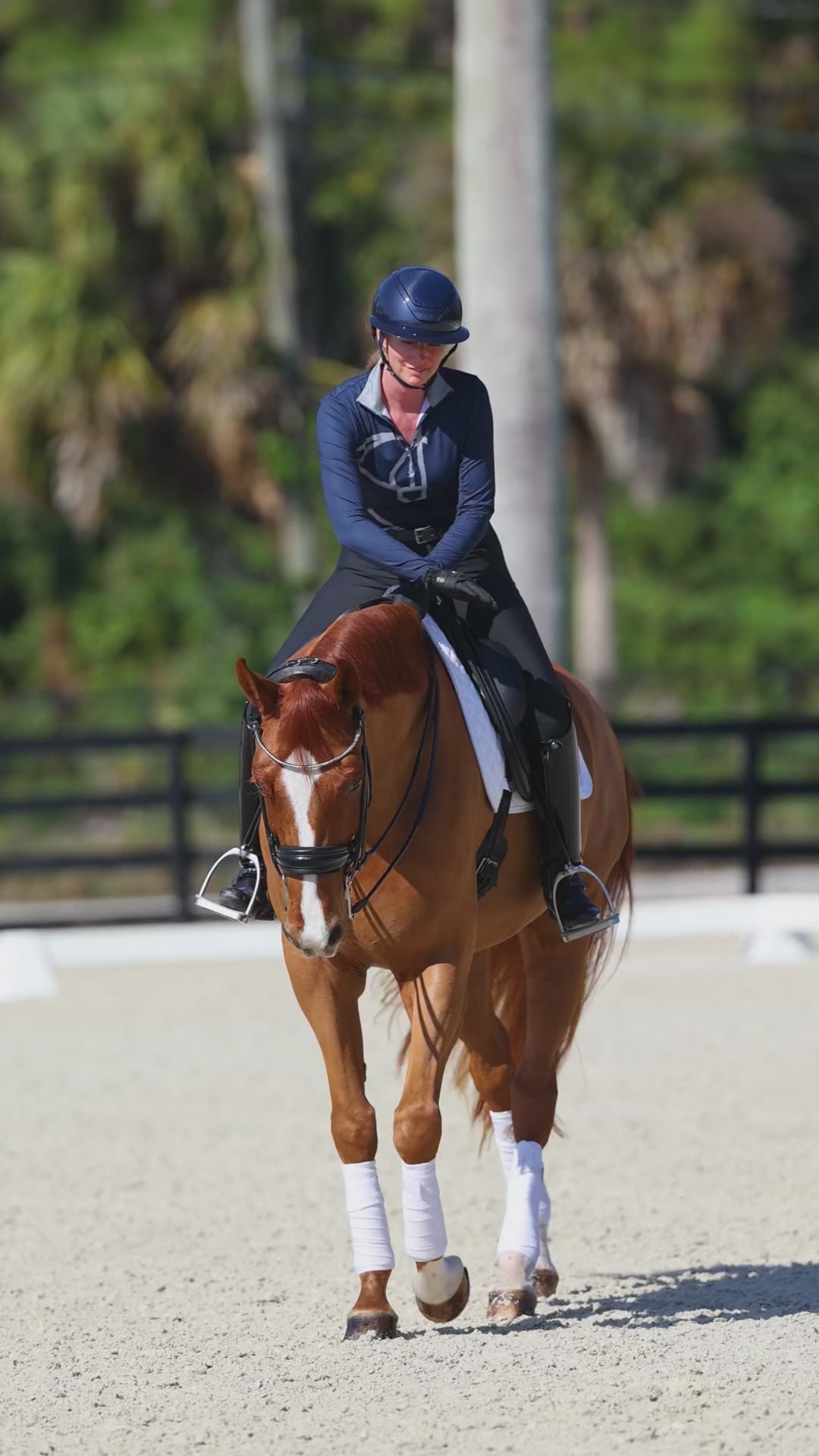 Tina Irwin wearing the Uniqcorn Exceptionnel Painted Horse Blue Equestrian Sun Shirt and Noir Full Seat Dressage Breeches.