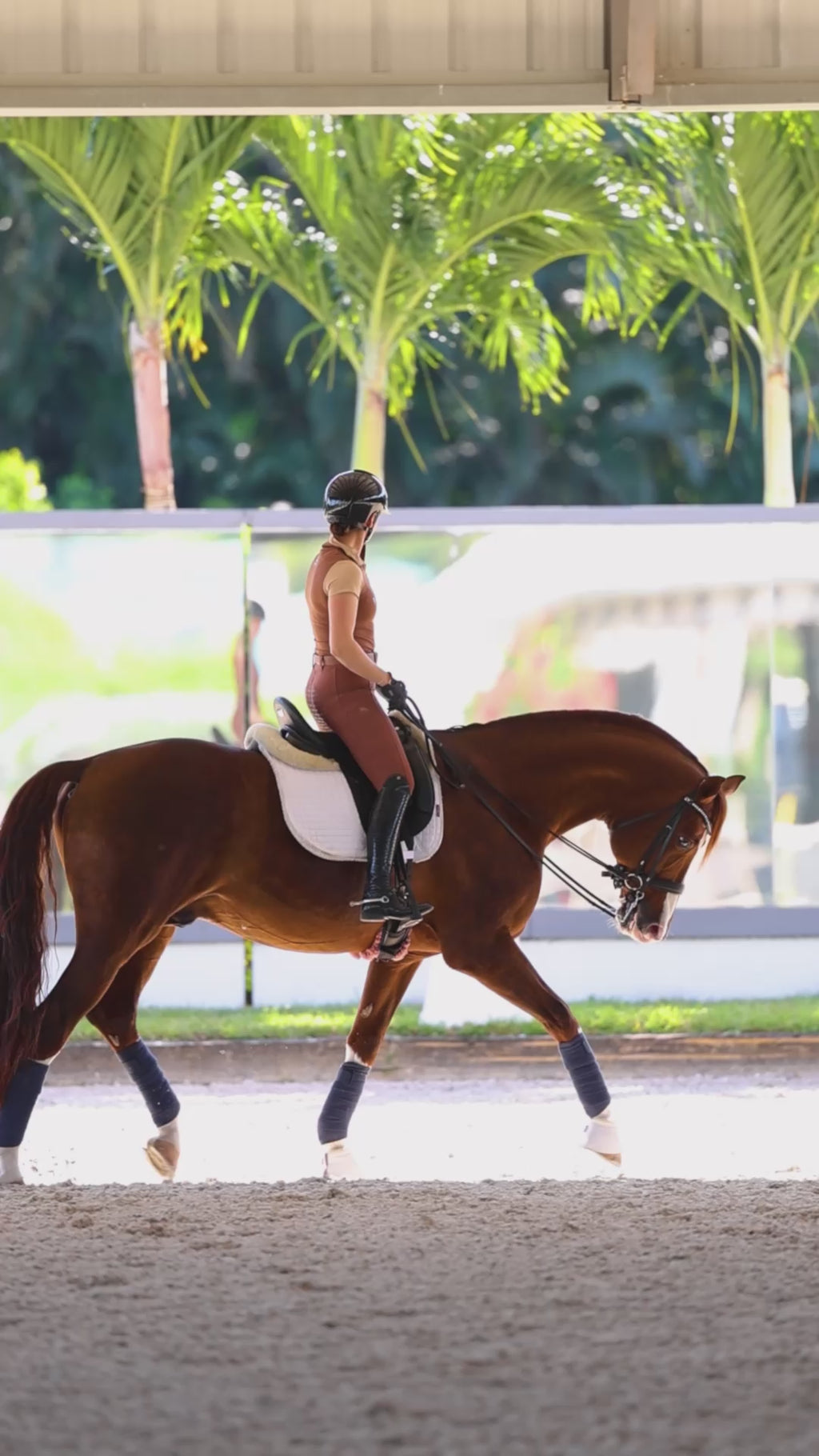 Hope Cooper wearing the Uniqcorn Exceptionnel French Caramel Equestrian Sun Shirt and Caramelized Hybrid Full Seat Breeches.