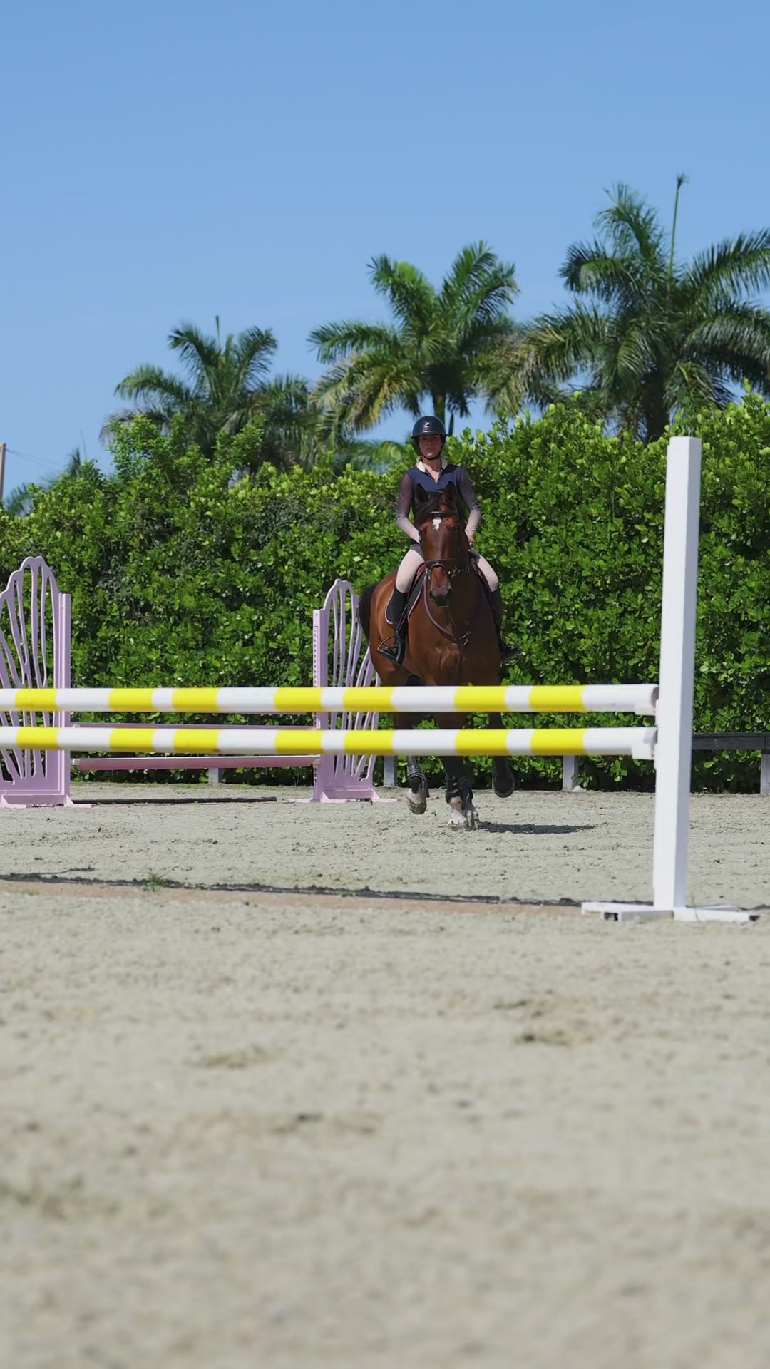 Equestrian Éco Collection Long Sleeve Sun Shirt with Ombré Mesh Sleeves “Ocean Ombre”
