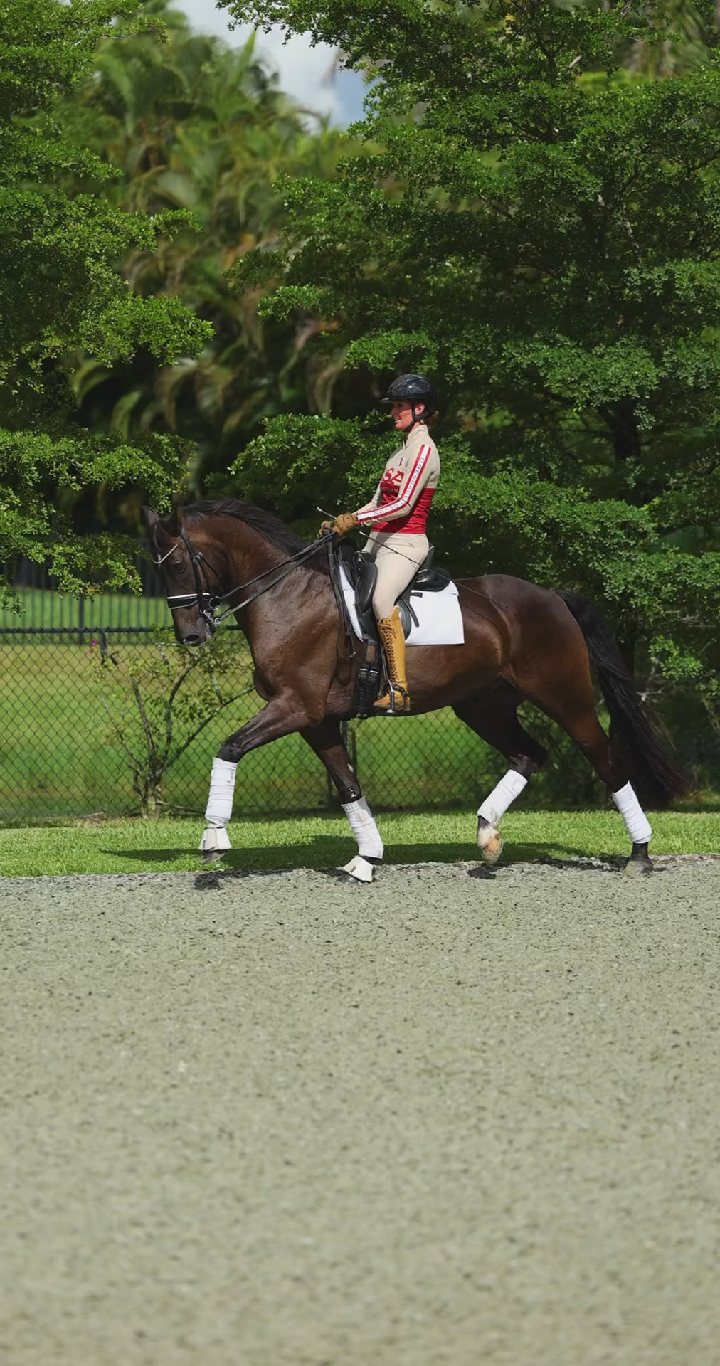 Limited Edition "Dressage at Devon Carl Hester Masterclass" Long Sleeve Sun Shirt – Size XS-XXL